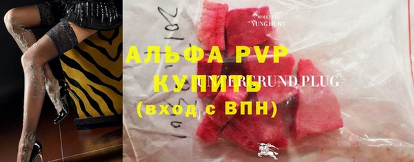 прущие грибы Бронницы