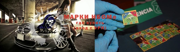трава Бородино