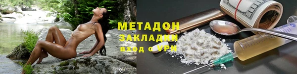 прущие грибы Бронницы