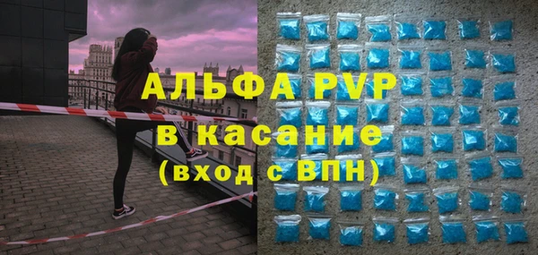 прущие грибы Бронницы