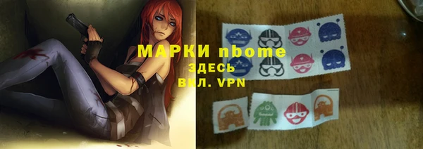 трава Бородино