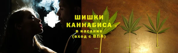 ГАЛЛЮЦИНОГЕННЫЕ ГРИБЫ Баксан