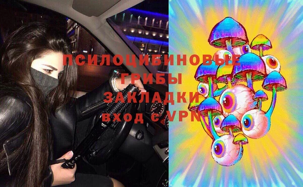 прущие грибы Бронницы