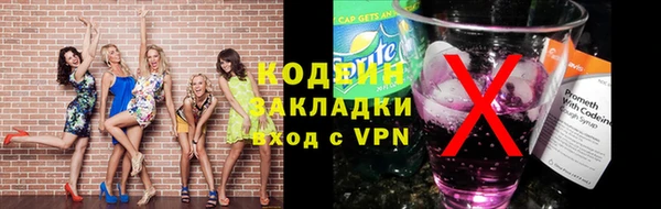 прущие грибы Бронницы