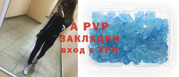 трава Бородино
