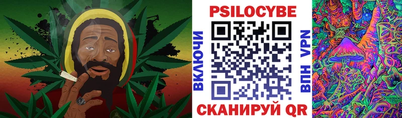 Галлюциногенные грибы Psilocybe  цена   Нерюнгри 