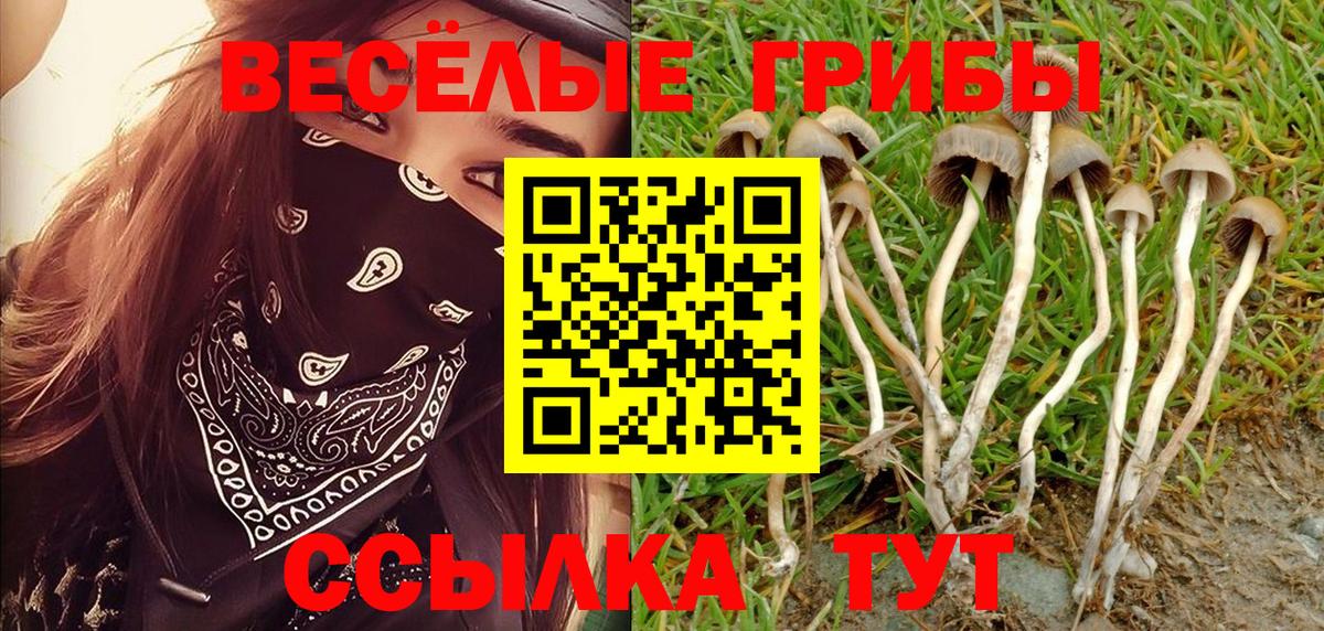 Нерюнгри  Галлюциногенные грибы прущие грибы  Псилоцибиновые грибы мицелий  Вход с VPN 